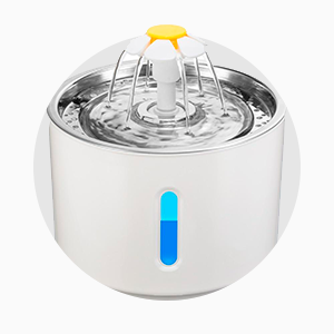 🌷 Beleza com propósito — porque você merece o melhor!